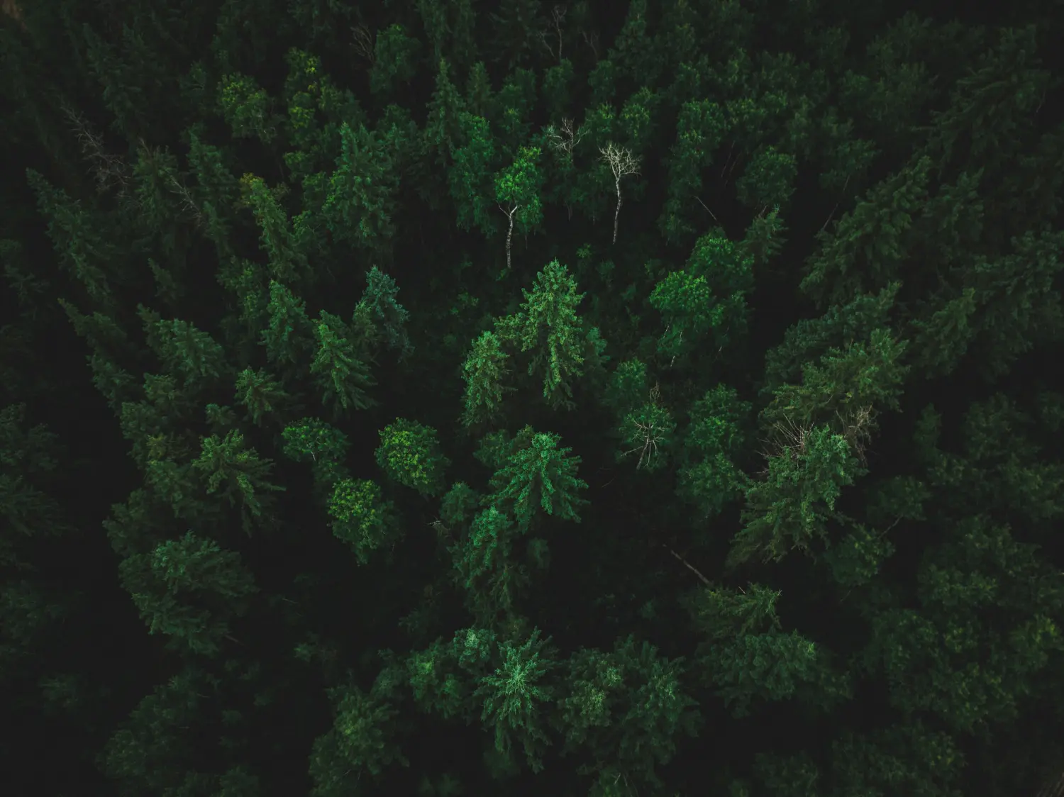 ESG Monitoring and Reporting
